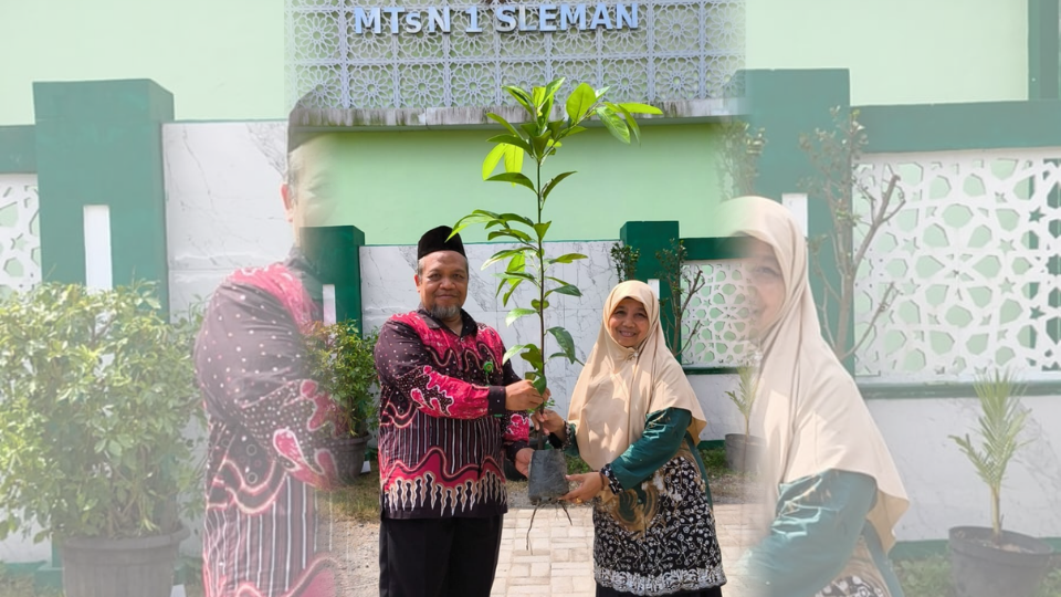 Perkuat Ekoteologi, MTsN 1 Sleman Bagikan Tanaman Black Sapote